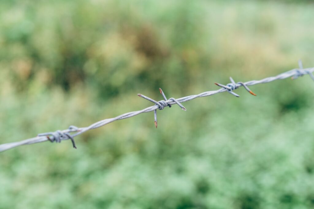 Detailed shot of a rusted barbed wire with blurred green background, emphasizing texture and age.