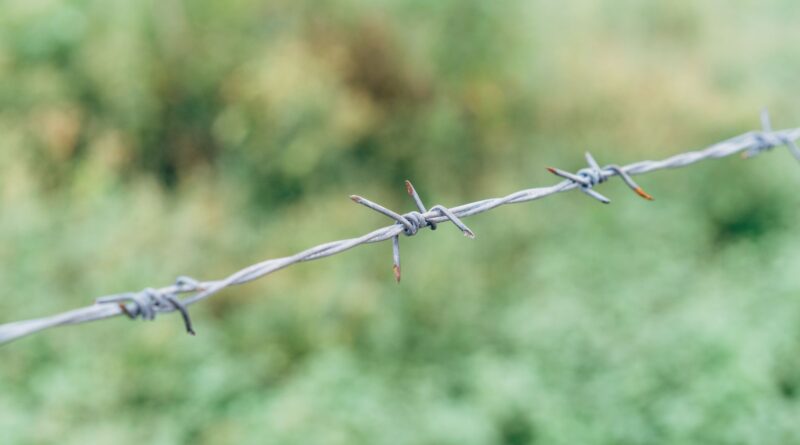 Detailed shot of a rusted barbed wire with blurred green background, emphasizing texture and age.