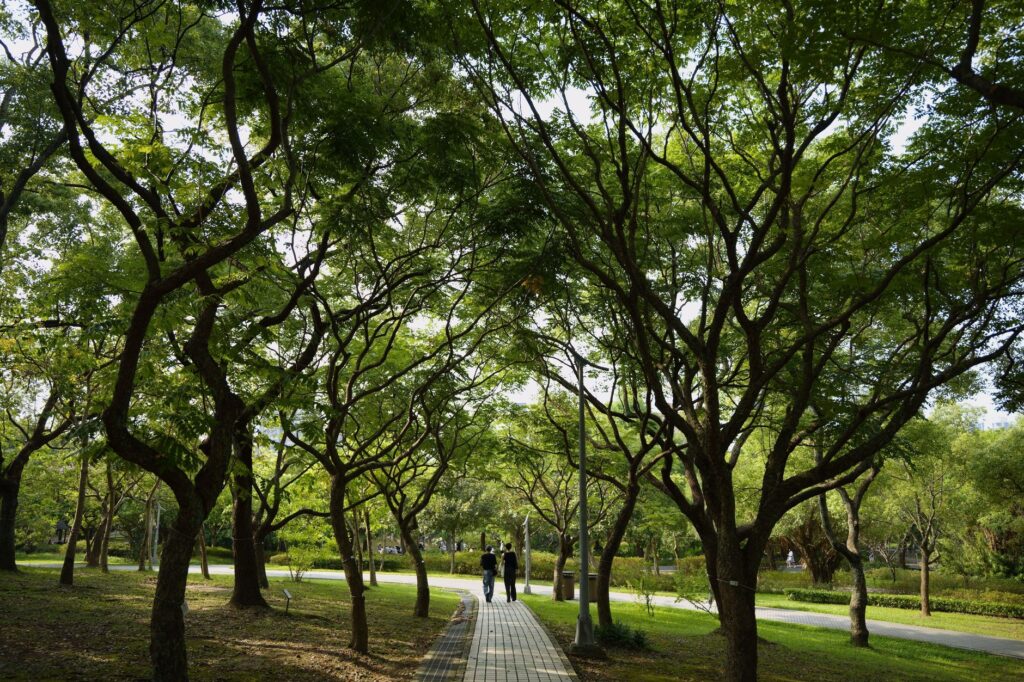 Peaceful park pathway under dense green trees in Taipei, Taiwan, offering tranquility and nature escape.