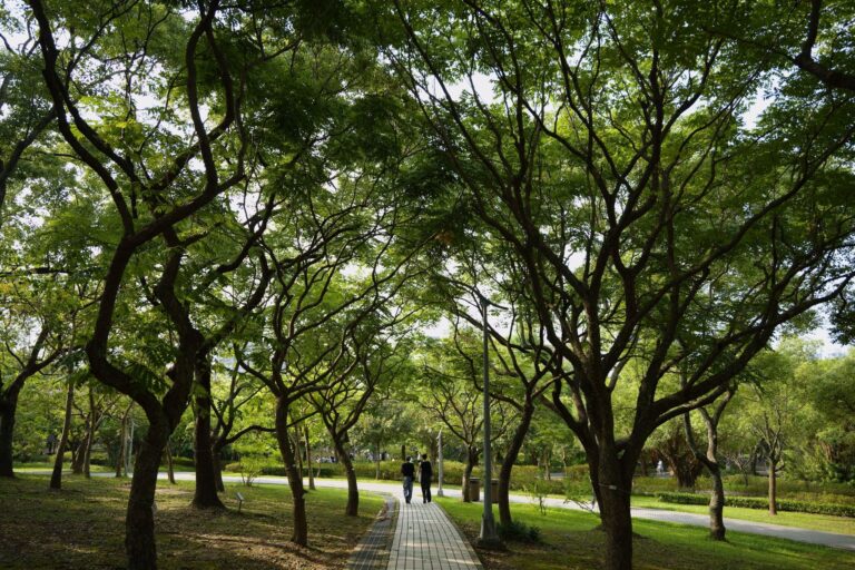Peaceful park pathway under dense green trees in Taipei, Taiwan, offering tranquility and nature escape.
