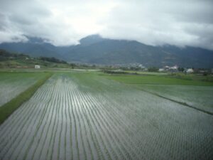 ecoorganic