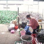 ecorecycling
