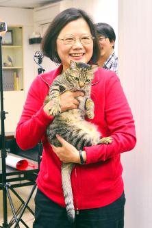 President Tsai Ingwen cuddles a cat