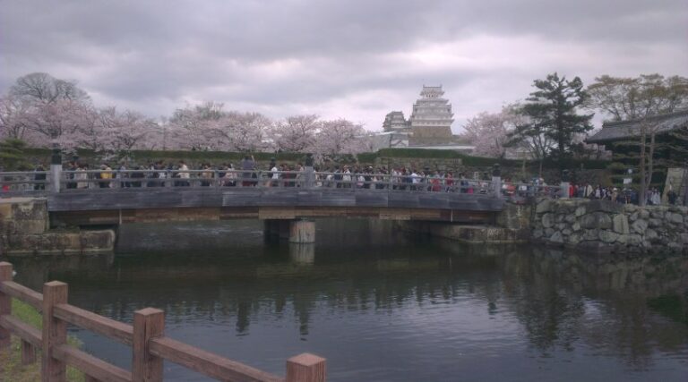 Himeji Castle Japan Cherry Blossoms