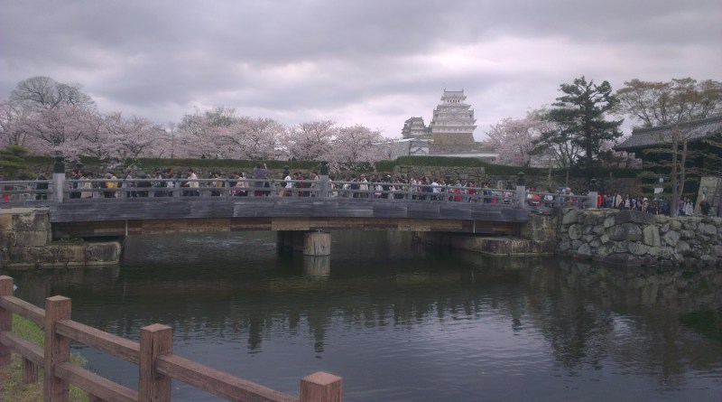 Himeji Castle Japan Cherry Blossoms