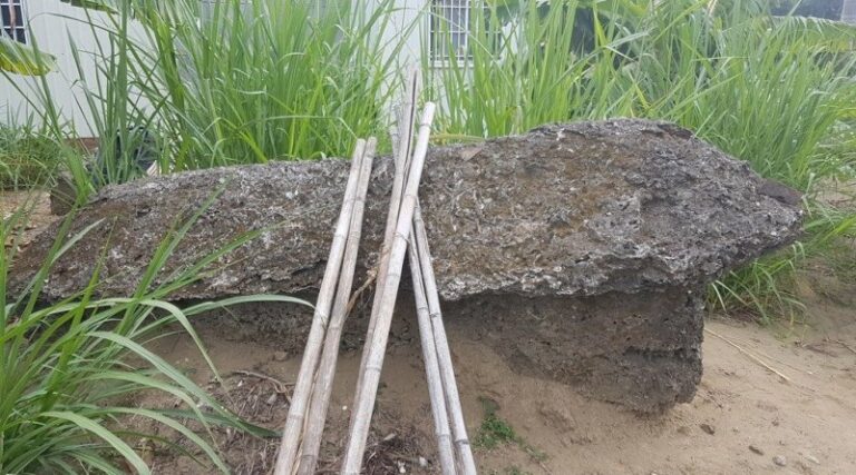 mysterious concrete sarcophagus in Tainan, Taiwan